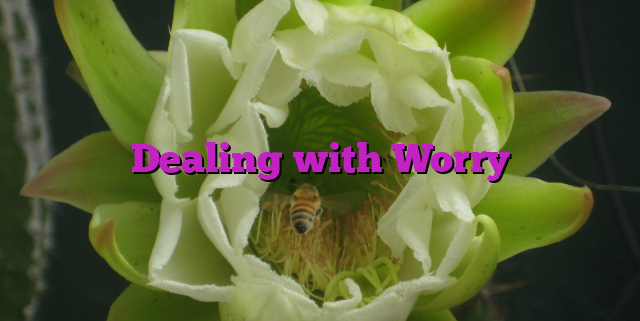 Dealing with Worry