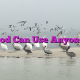 God Can Use Anyone!