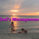 God’s Management