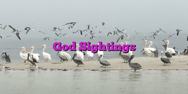 God Sightings