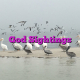 God Sightings
