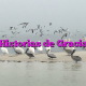 Historias de Gracia