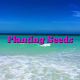 Planting Seeds