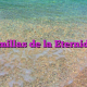 Semillas de la Eternidad