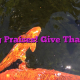Sing Praises! Give Thanks!