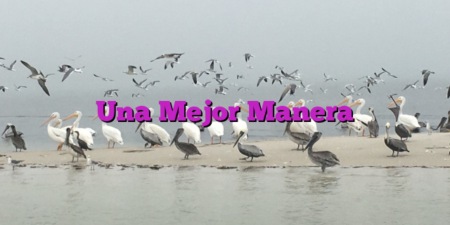 Una Mejor Manera