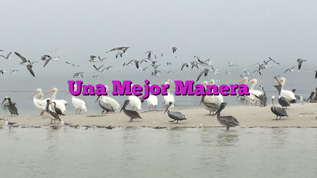Una Mejor Manera