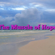The Muscle of Hope