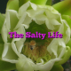 The Salty Life