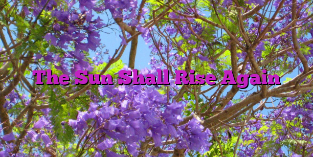The Sun Shall Rise Again