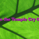 All in the Temple Cry Glory