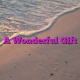 A Wonderful Gift