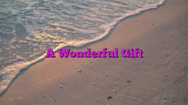 A Wonderful Gift
