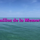 Anillos de la Memoria