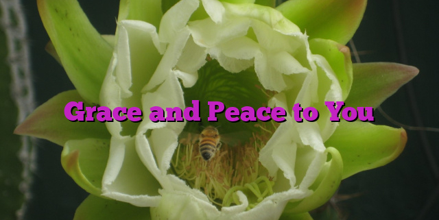 Grace and Peace to You