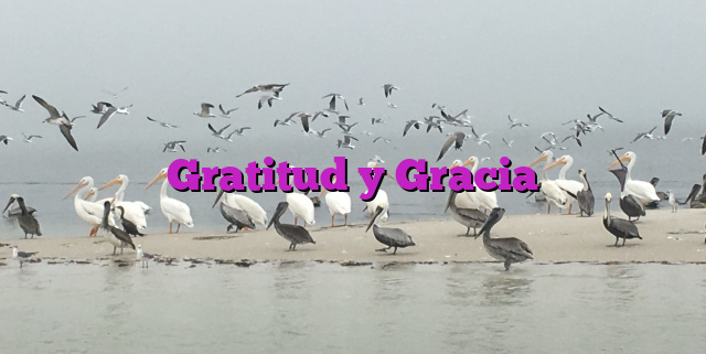 Gratitud y Gracia Gratitud y Gracia