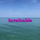 Invaluable