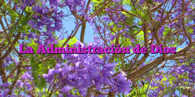 La Administración de Dios