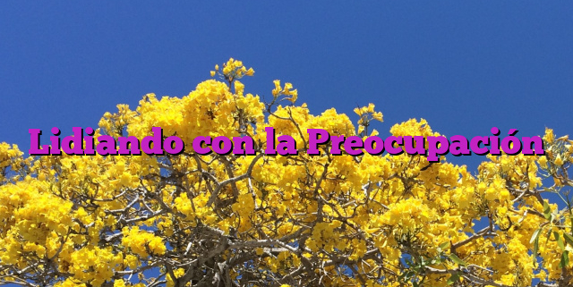 Lidiando con la Preocupación