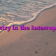 Ministry in the Interruptions