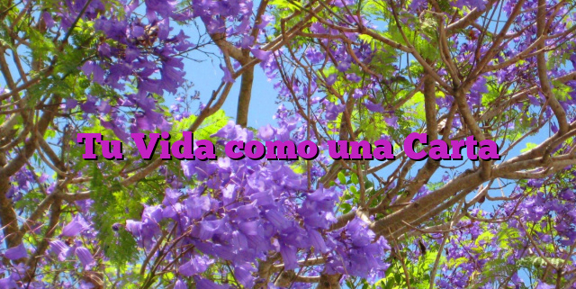 Tu Vida como una Carta