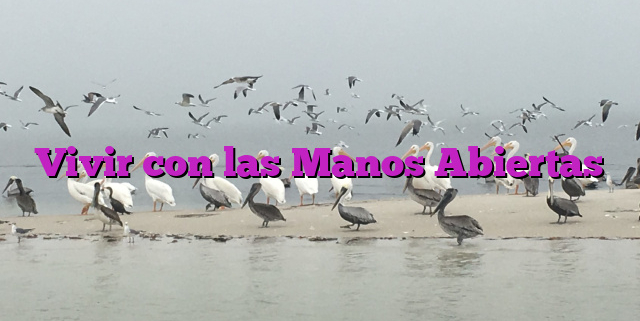 Vivir con las Manos Abiertas
