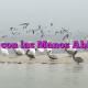 Vivir con las Manos Abiertas