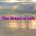 The Bread of Life