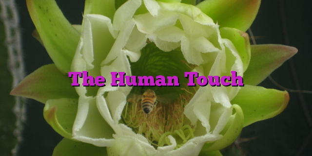 The Human Touch