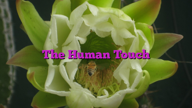 The Human Touch