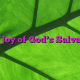 The Joy of God’s Salvation The Joy of God’s Salvation