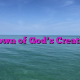 Crown of God’s Creation