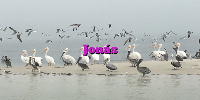 Jonás