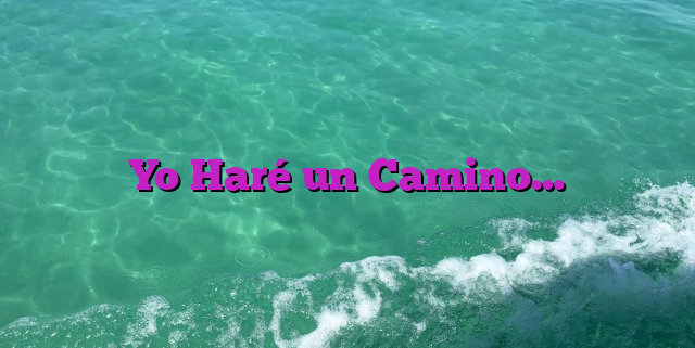 Yo Haré un Camino… Yo Haré un Camino…