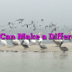 You Can Make a Difference You Can Make a Difference