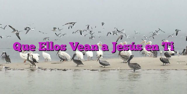 Que Ellos Vean a Jesús en Ti