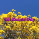 All Saints Day All Saints Day