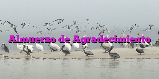 Almuerzo de Agradecimiento