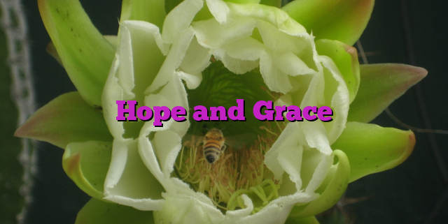 Hope and Grace Hope and Grace