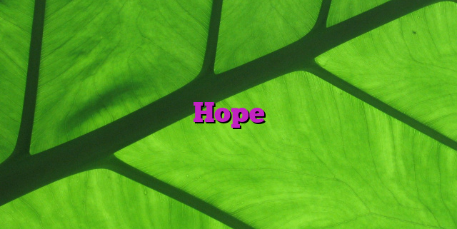 Hope Hope