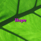 Hope