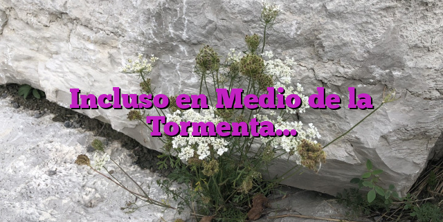 Incluso en Medio de la Tormenta… Incluso en Medio de la Tormenta…