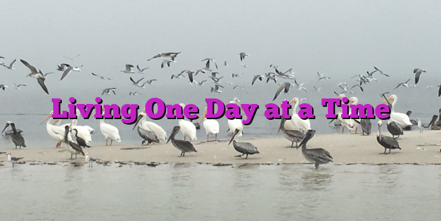 Living One Day at a Time Living One Day at a Time