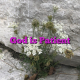 God is Patient